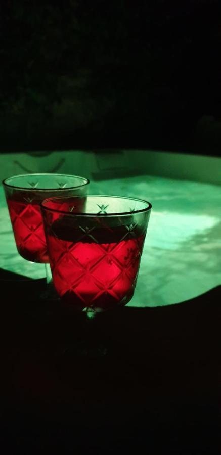 Maison De Maitre A Bram # Jacuzzi Экстерьер фото