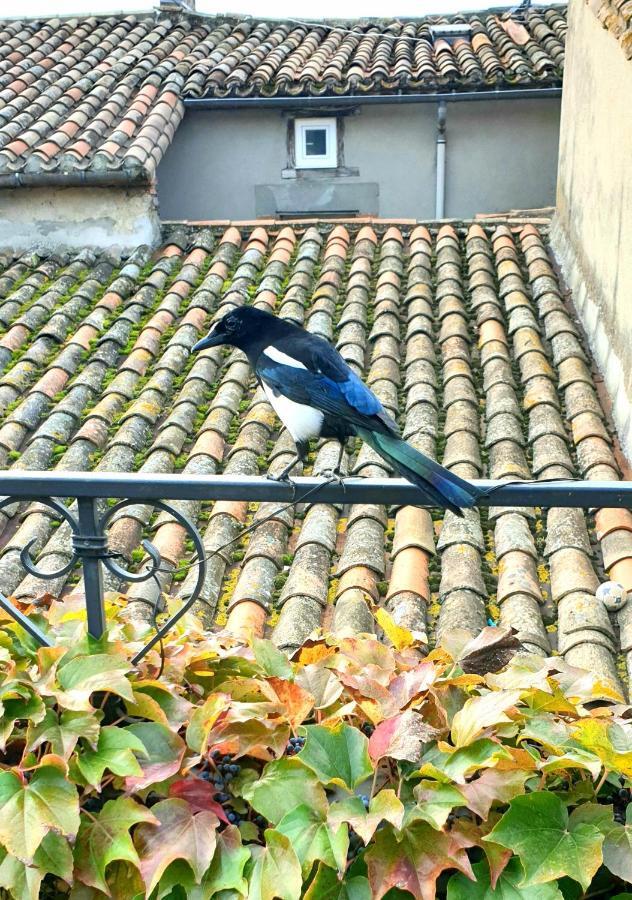 Maison De Maitre A Bram # Jacuzzi Экстерьер фото